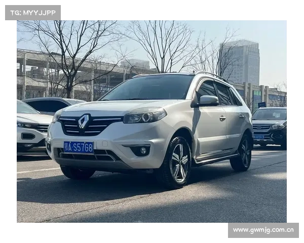 全新一代国产雷诺科雷傲实车图片,雷诺终于帅了! 全新一代国产雷诺科雷傲实车图片,雷诺终于帅了!